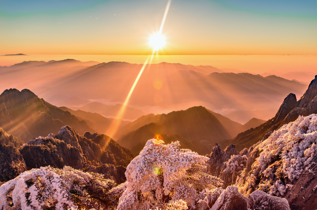 Grow Stronger: Turning Life's Challenges into Opportunities